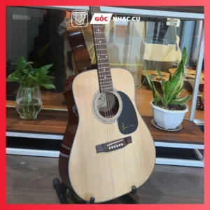 guitar-aucoustic-D120