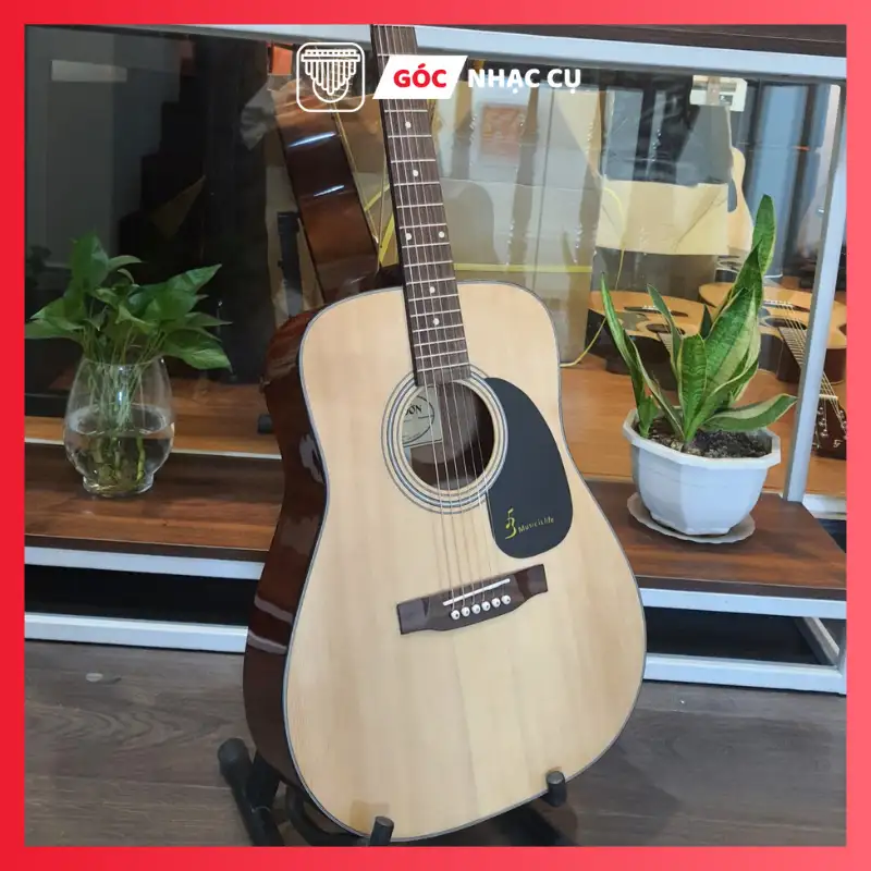 D2 guitar-aucoustic-D120