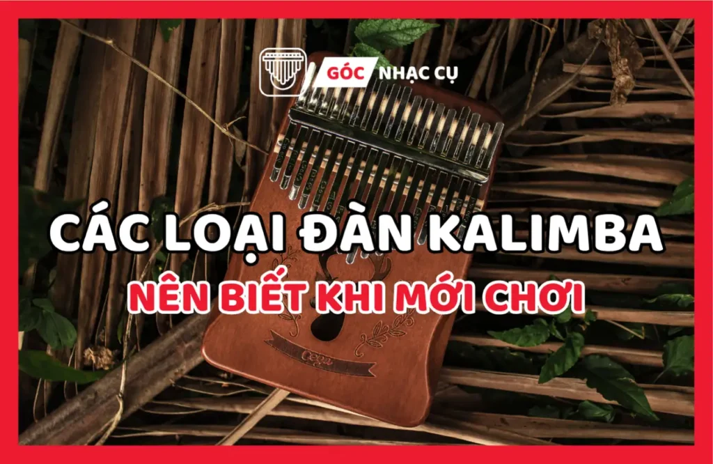 Các Loại Đàn Kalimba Nên Biết Khi Mới Chơi