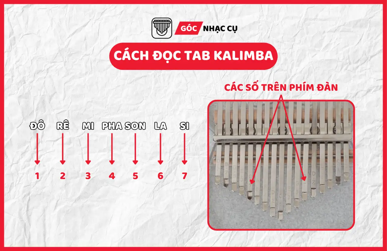 Cách chơi đàn Kalimba đơn giản cách đọc tab kalimba