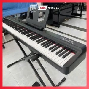 Piano Bremen BM300