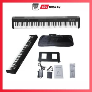 Piano Bremen BM300