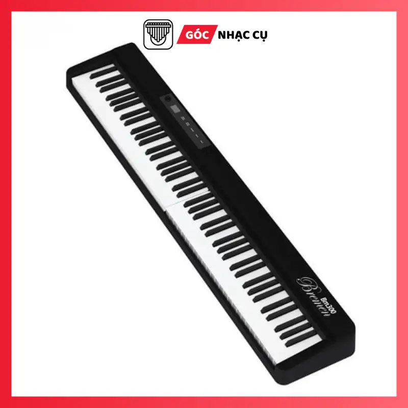 Piano Bremen BM300