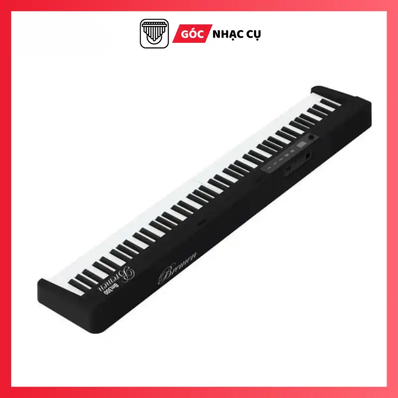 Piano Bremen BM300