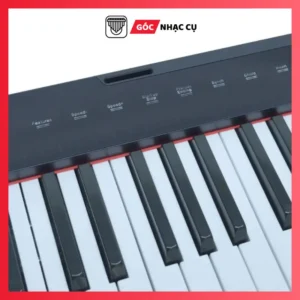 Đàn Piano Flykeys M2