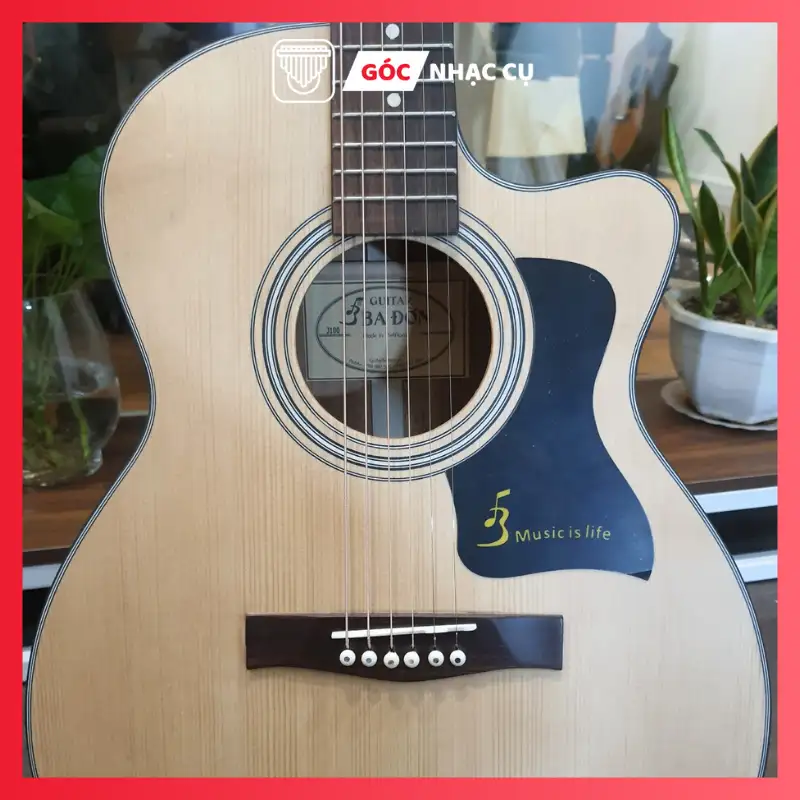 Đàn Guitar Acoustic J100