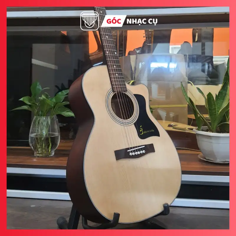 Đàn Guitar Acoustic J100