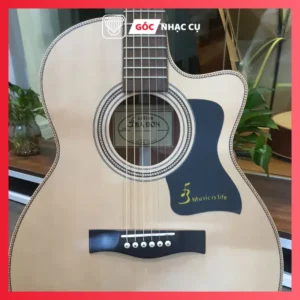 Đàn Guitar Acoustic J-130