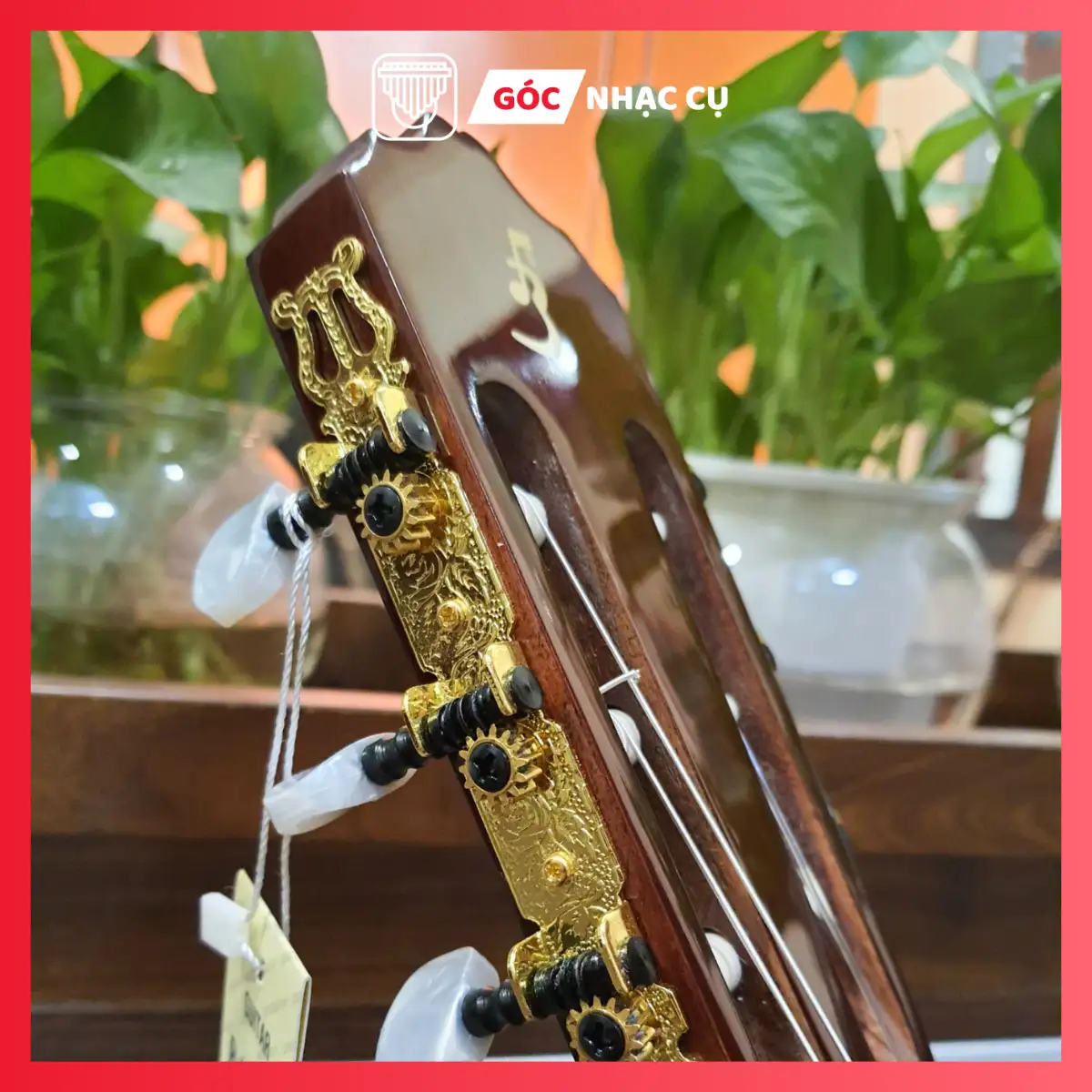 guitar-classic-C170-son-bong (3) Guitar Classic C170 sơn bóng
