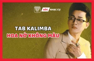 Tab Kalimba Hoa Nở Không Màu