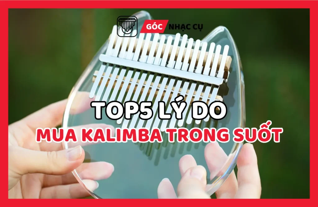 Top 5 Lý Do Nên Mua Đàn Kalimba Trong Suốt