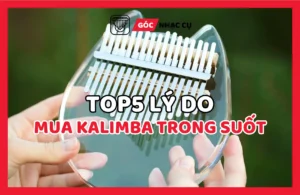Top 5 Lý Do Nên Mua Đàn Kalimba Trong Suốt