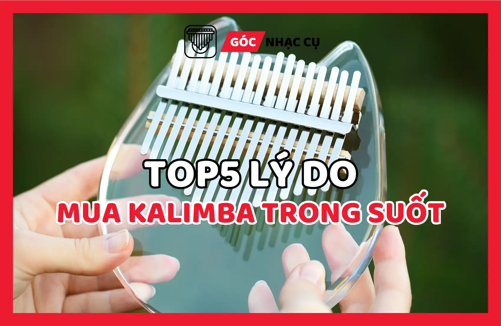 Top 5 Lý Do Nên Mua Đàn Kalimba Trong Suốt